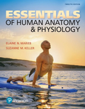 Essentials of Human Anatomy & Physiology, 12th Edition – Elaine N. Marieb & Suzanne M. Keller