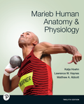 Human Anatomy & Physiology, 12th Edition – Katja Hoehn & Elaine N. Marieb