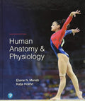 Human Anatomy & Physiology, 11th Edition – Elaine N. Marieb & Katja Hoehn