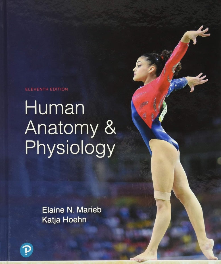 Human Anatomy & Physiology, 11th Edition – Elaine N. Marieb & Katja Hoehn